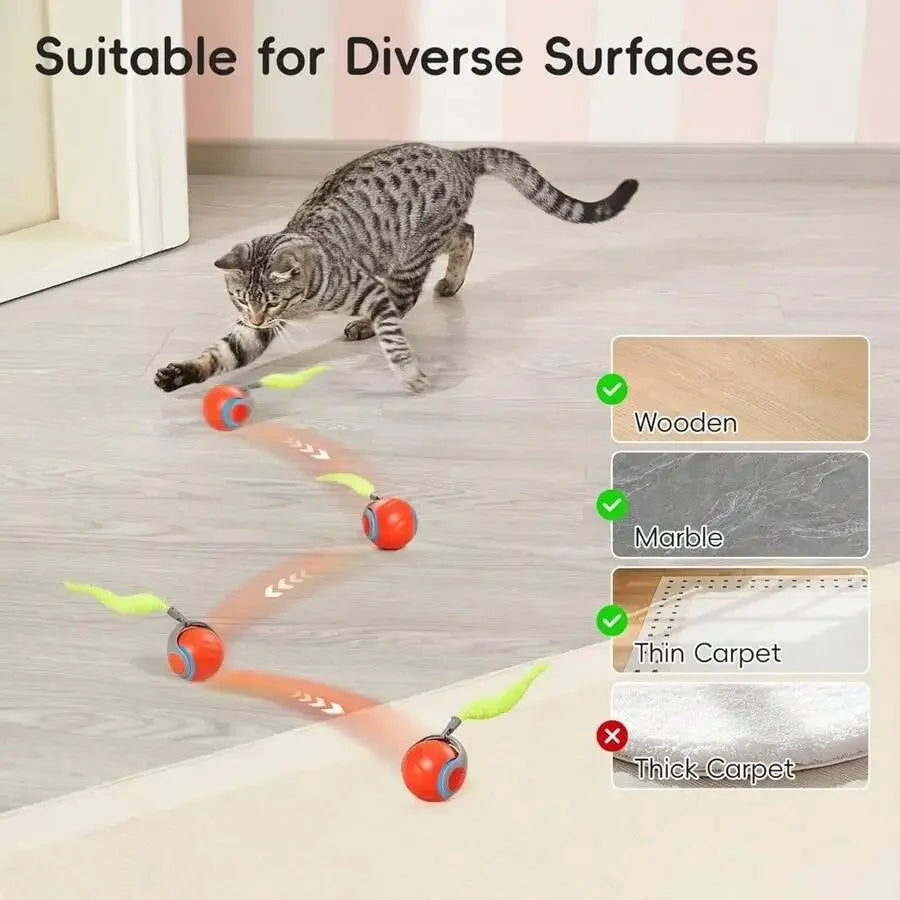 Interactive Rolling Ball Cat Toy With Feather Tail Rechargeable Auto Motion