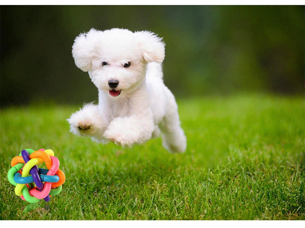 Woven Bell Dog Toy Bite Resistant Rubber Chew Ball Fetching