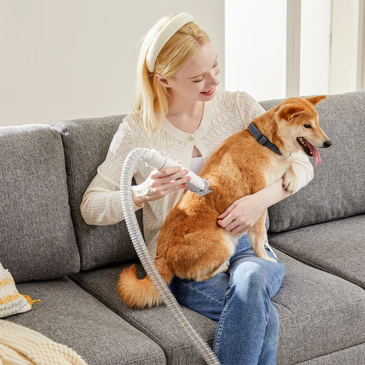 JHK Professional Pet Grooming Vacuum Kit With Cordless Low Noise Clippers