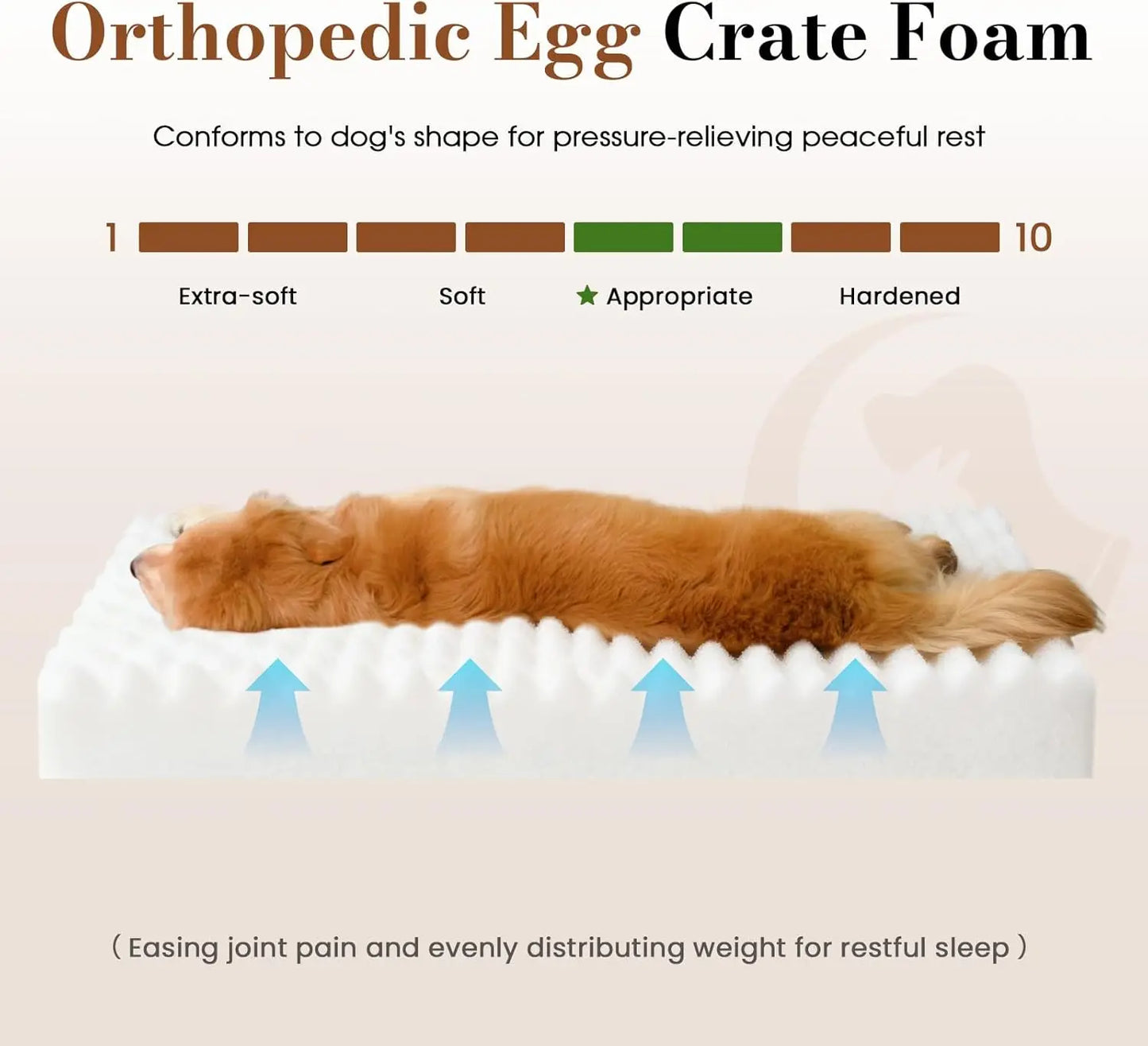 Dog Beds for Large Sized Dog, Orthopedic Pet Bed with Waterproof Lining, Soft Short Plush Surface & Egg Crate Foam, Mach