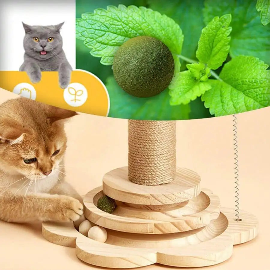 4-In-1 Interactive Cat Toy With Scratch Pole Track Ball Teaser