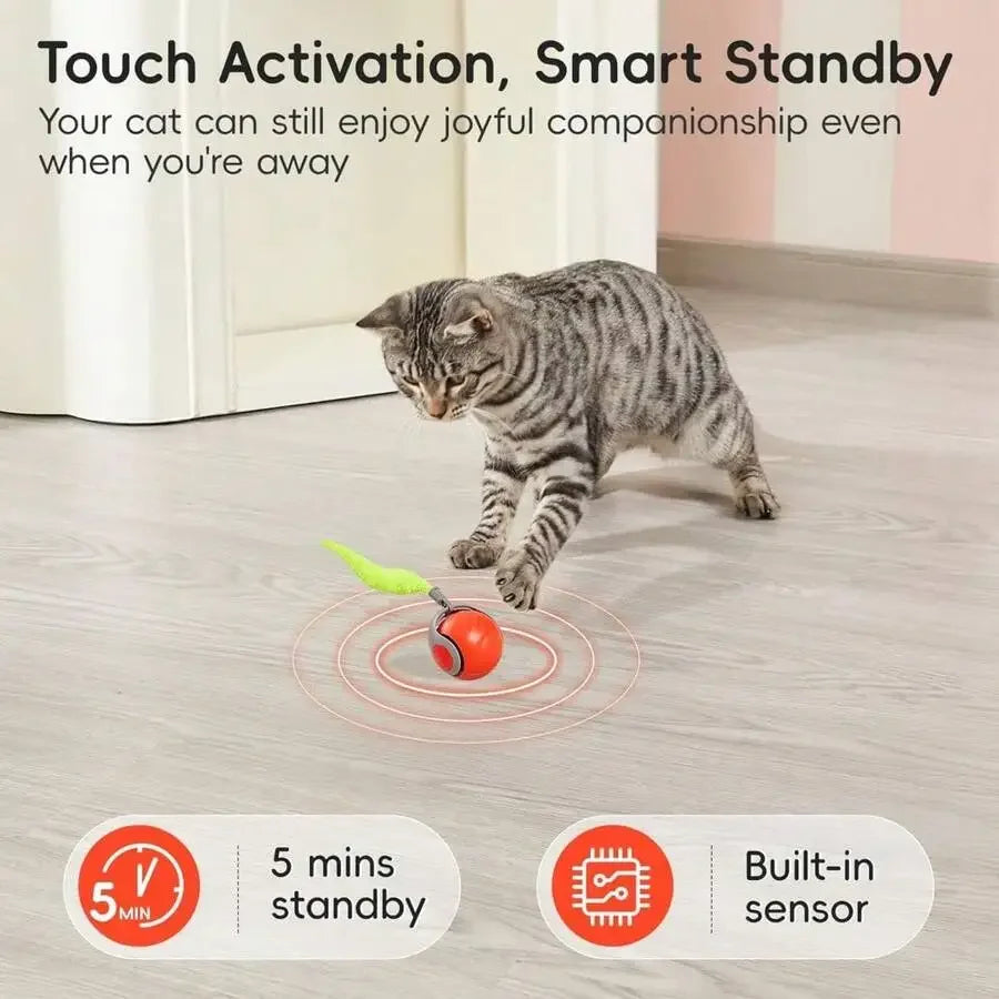 Interactive Rolling Ball Cat Toy With Feather Tail Rechargeable Auto Motion