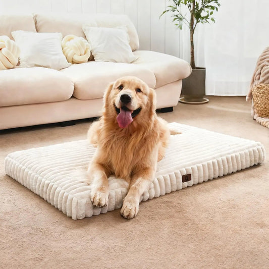 Dog Beds for Large Sized Dog, Orthopedic Pet Bed with Waterproof Lining, Soft Short Plush Surface & Egg Crate Foam, Mach