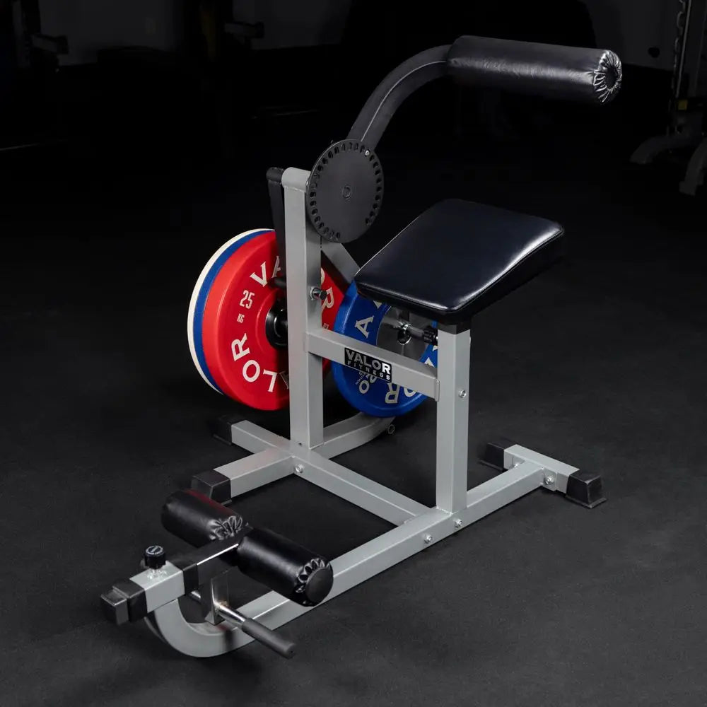 YTYIN Ab Crunch And Back Machine Plate Loaded For Core